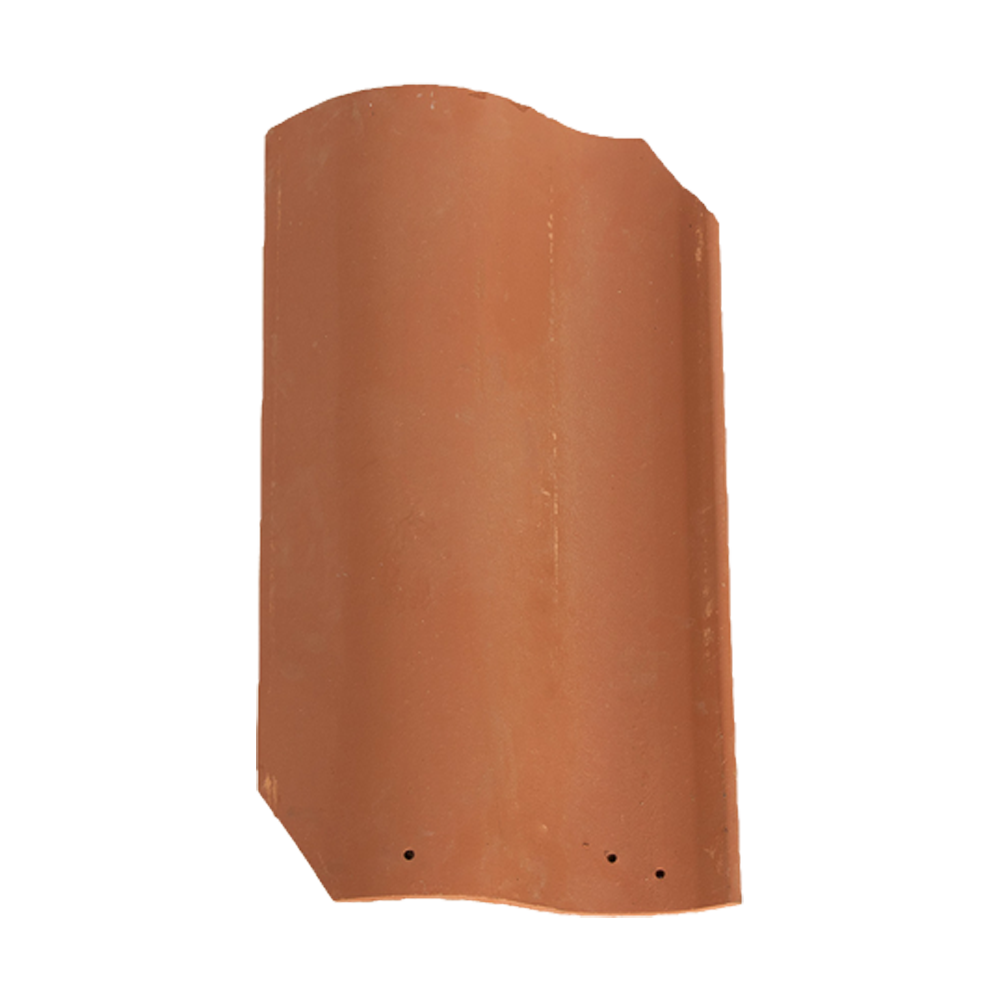 teja caribe