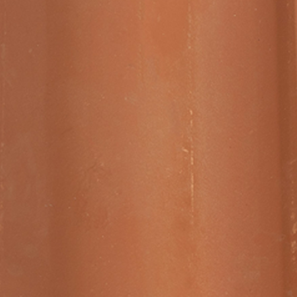 teja caribe