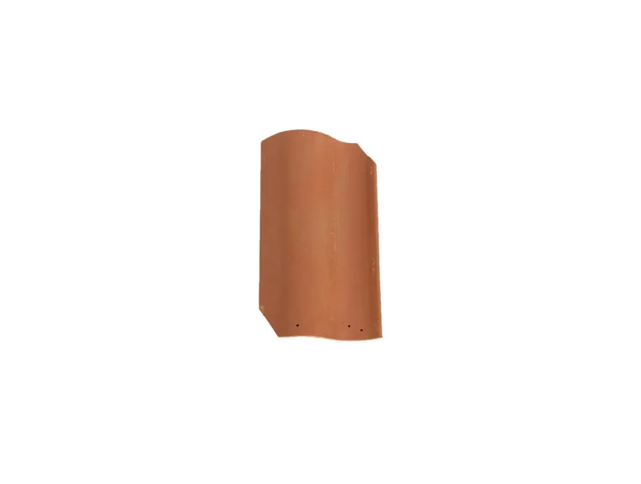 Teja Caribe